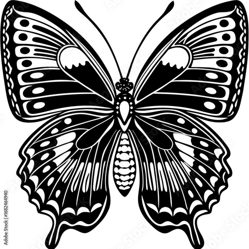 butterfly on black background