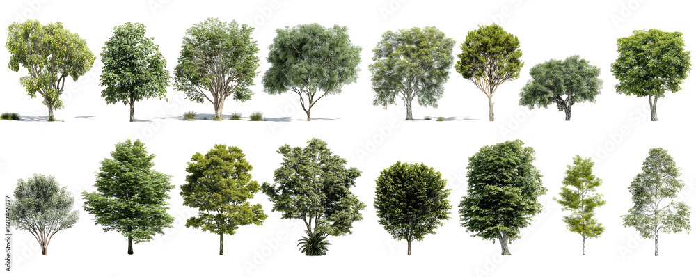 Fototapeta premium Collection of various trees, likely digital renderings. Different shapes and shades of green foliage. Rows of isolated trees