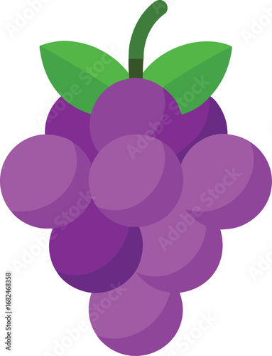 Juicy purple grape cluster vector illustration fresh fruit isolated scalable eps transparent background