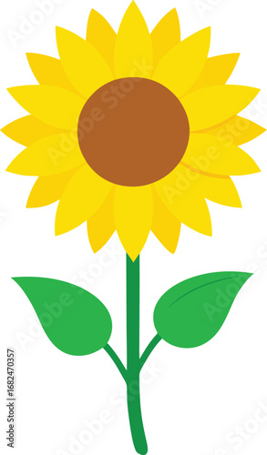Vibrant yellow sunflower with green stem vector illustration for floral designs transparent background