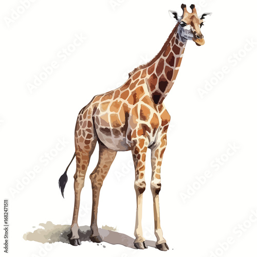 Elegant Giraffe Portrait with Distinctive Brown and Beige Patterning
