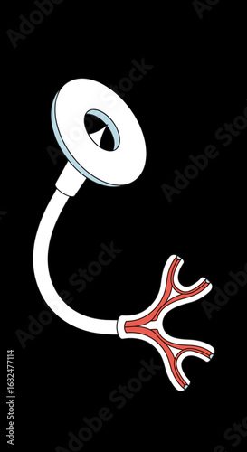 A medical device representing a respiratory system with a tube and a diaphragm on one end