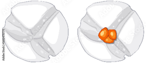 Vector Illustration of Asian Dumplings with Filling
