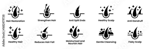 Hair treatment and care icon set vector. Anti dandruff, Anti Split Ends, Strengthen Hair, Healthy Scalp, Flaky Scalp, Gentle Cleansing, Reduces Hair Fall, Restoration, Moisturise and Nourish Hair.