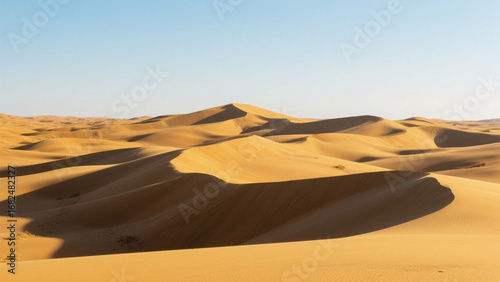 Fototapeta Naklejka Na Ścianę i Meble -  sand dunes in the desert
