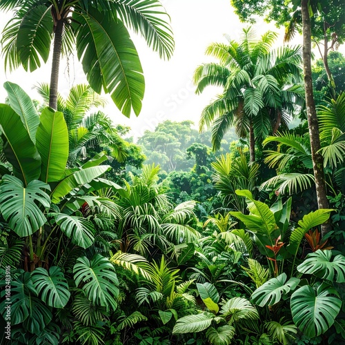 Lush tropical scene bursting with vibrant green foliage, giant palm trees, and a misty background suggesting a distant hill. Peaceful & serene