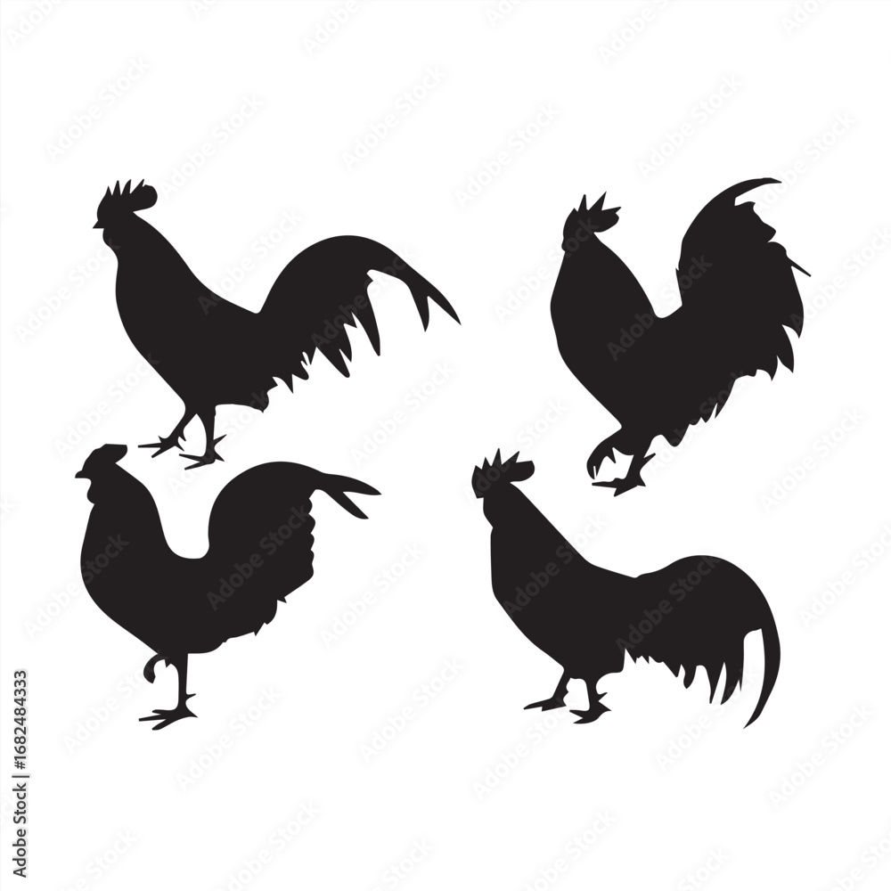 Fototapeta premium cock and hen