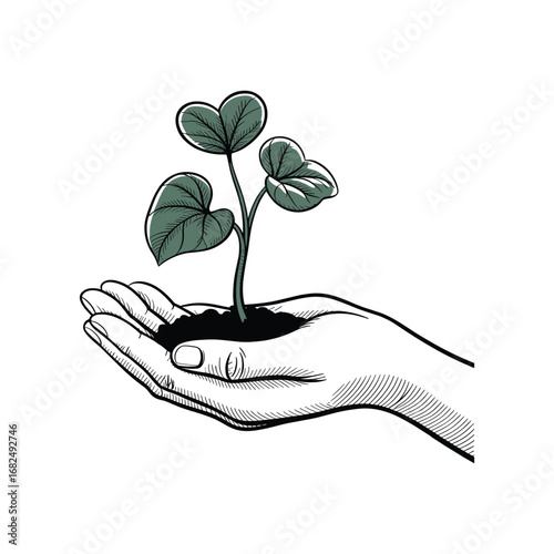 Nurturing a young green plant sprouting from soil held gently in human hands white background