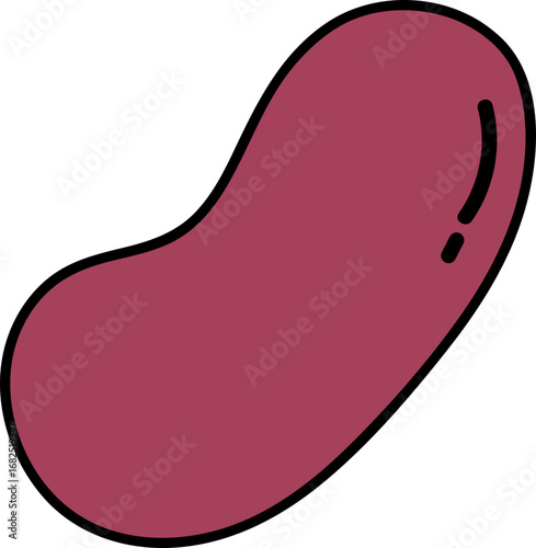 강낭콩 일러스트