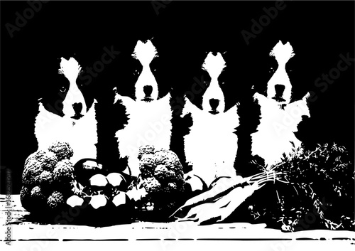 Adorable Border Collie puppy sitting with fresh vegetables on a wooden table animal
