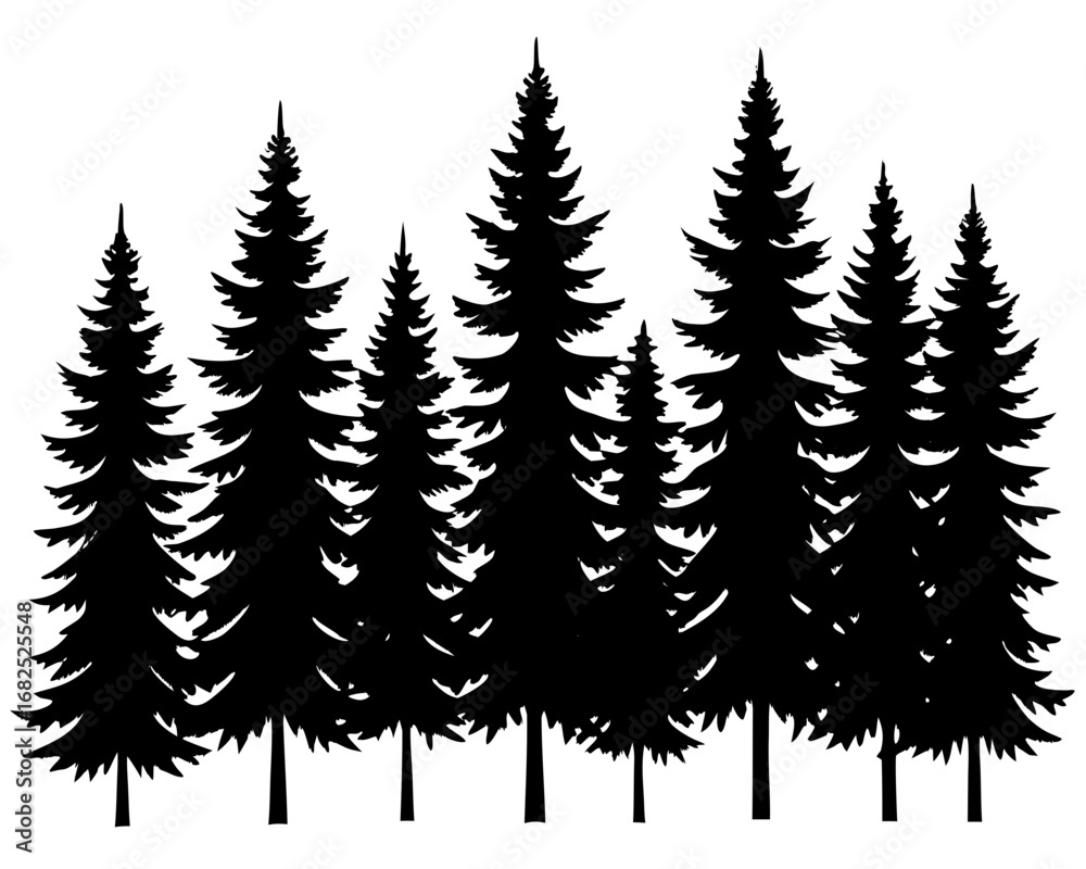 Obraz premium Silhouette of a dense forest with many pine trees, silhouette vector illustration
