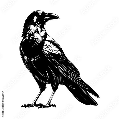 Stylish black raven silhouette — suitable for adding visual impact to horror themes, mystery artwork, tattoo designs, branding, website headers, or magazine illustrations.