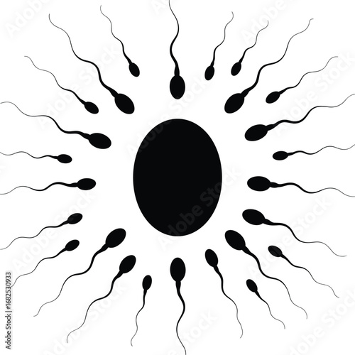 Sperm Surrounding Egg Cell Abstract Black and White Vector Illustration