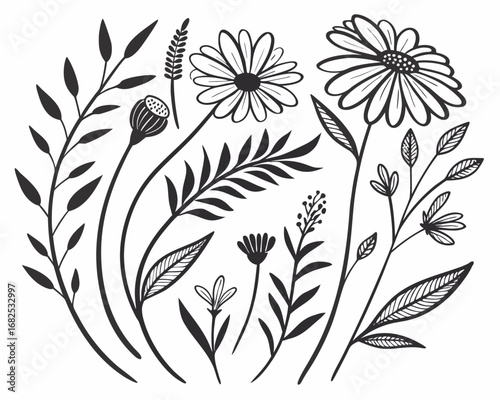 Collection of delicate black floral stems and leaves