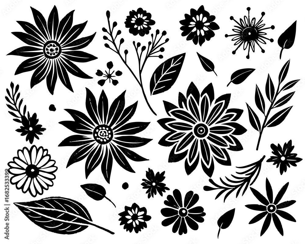 Fototapeta premium Black and White Floral Elements Collection flower botanical