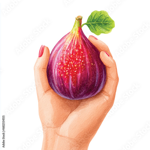 Watercolor Hand Holding a Ripe Fig with a Single Green Leaf