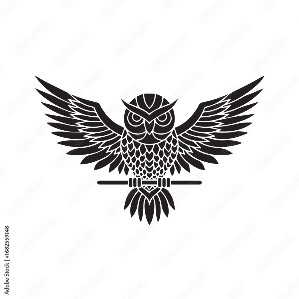 Obraz premium eagle with wings