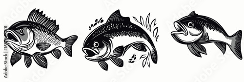 Set of three black and white bass fish illustrations with detailed fins and scales in minimalist vector style for fishing and outdoor hobby design elements