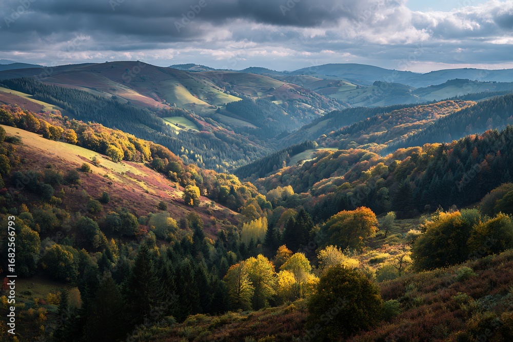 Naklejka premium 20. Rolling autumn hills with mixed forests, soft clouds casting shadows across the vibrant land 