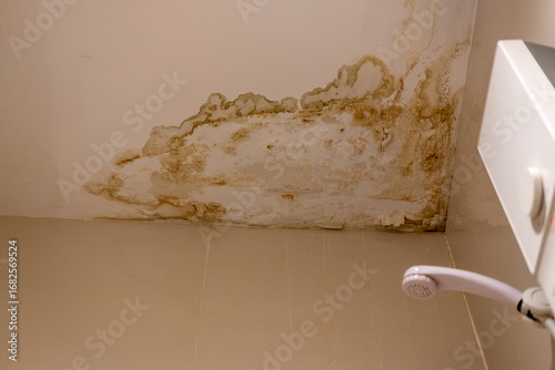 Bathroom ceiling with visible moisture stains showing dampness, humidity, and water damage
