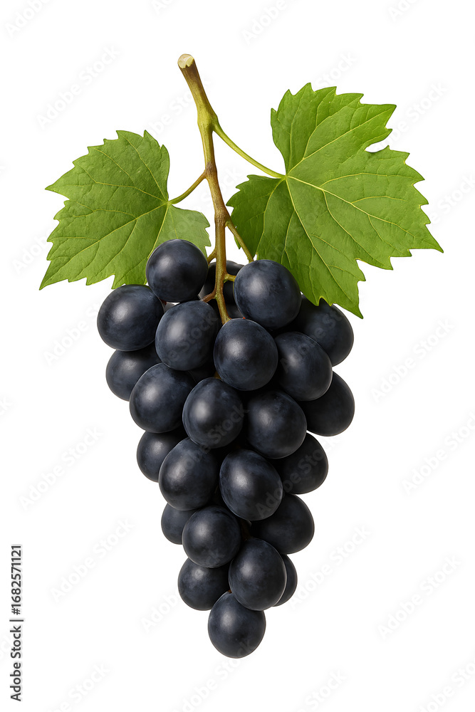 Fototapeta premium black grapes isolated on white background