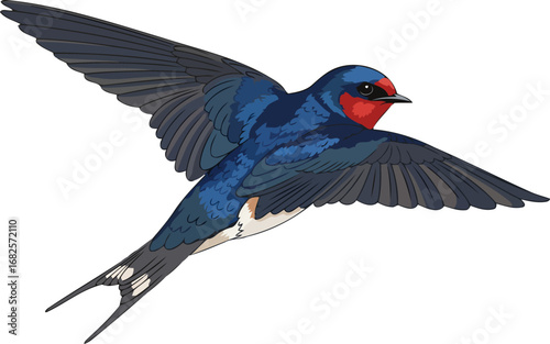 barn swallow in flight a symphony of blue and freedom, isolated on transparent background