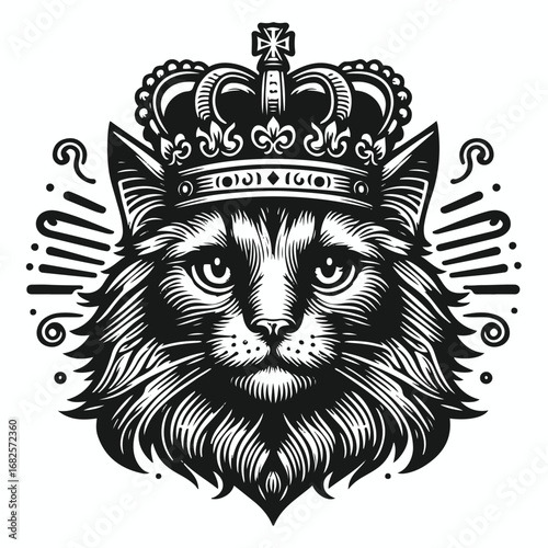 black cat on a white background