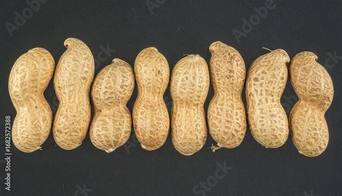 Row of unroasted peanuts in their textured shells against a dark background. Earthy tones and patterns detail the oblong shapes