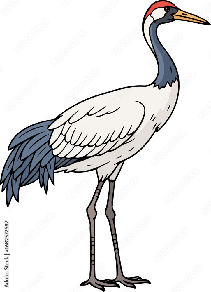 Obraz premium elegant redcrowned crane majestic asian bird, watercolor illustration, wildlife art, isolated on transparent background