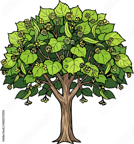 linden tree in full bloom natures serene summer embrace, isolated on transparent background