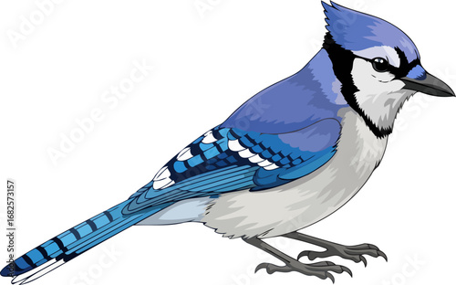 majestic blue jay bird a vivid illustration of wild beauty and freedom, isolated on transparent background