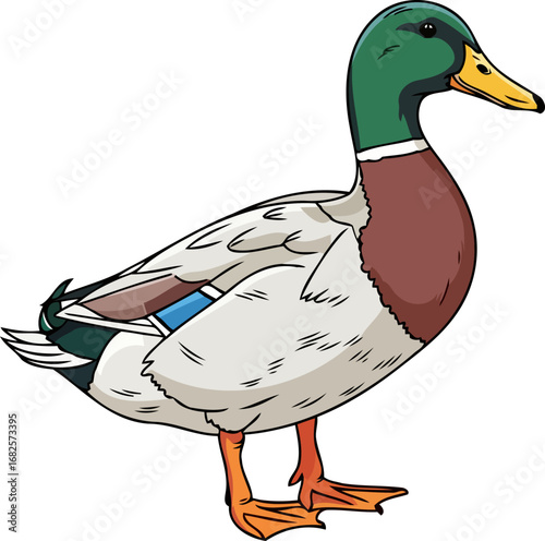 majestic mallard duck a vibrant waterfowl portrait, detailed plumage, natural beauty, isolated on transparent background