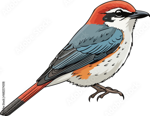 vibrant bluecapped bird a jewel of natures palette, exquisite details, vivid colors, captivating song, isolated on transparent background