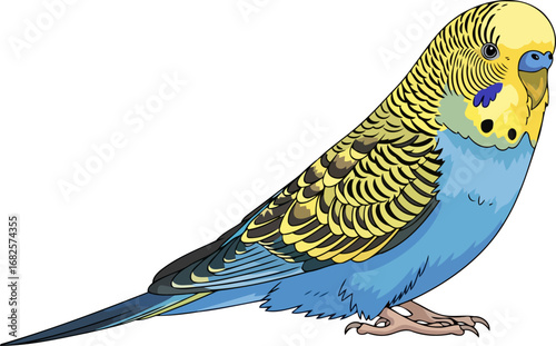 vibrant budgie parrot a delightful burst of blue and yellow, isolated on transparent background