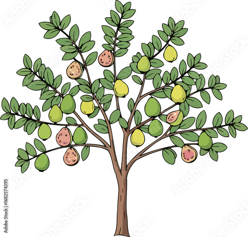 vibrant guava tree a bountiful harvest of tropical delight, isolated on transparent background