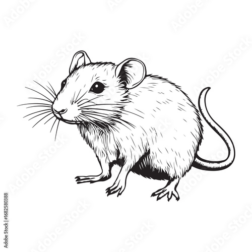 Mouse silhouette