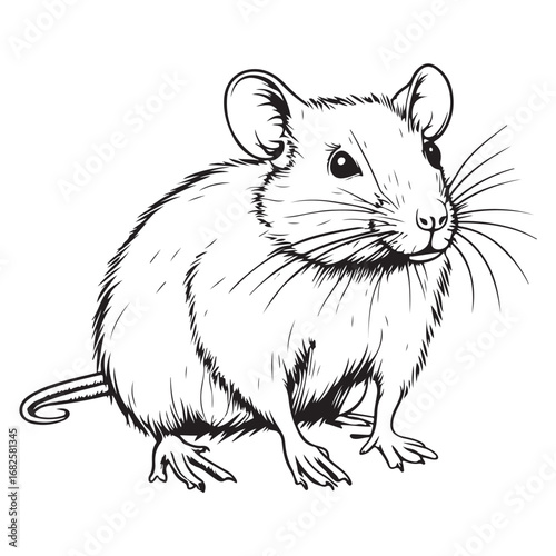 Mouse silhouette