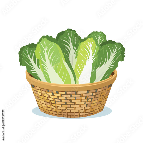 Napa Cabbage in a basket Flat Vector Art with Clean Design and Minimal Detailing
