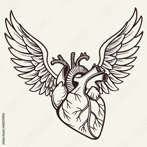 Intricate anatomical heart illustration with outstretched wings, symbolizing freedom, love, and the soaring spirit, rendered in a detailed vintage line art style with a classic aesthetic