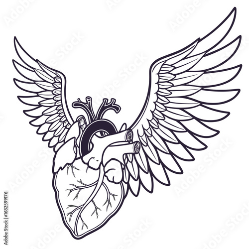 Vector illustration of a winged anatomical heart, a powerful graphic symbol representing passion, freedom, and spiritual life