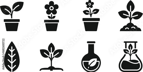 Plant growth and botanical science vector icons for agriculture