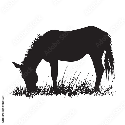 mule eat grass silhouette