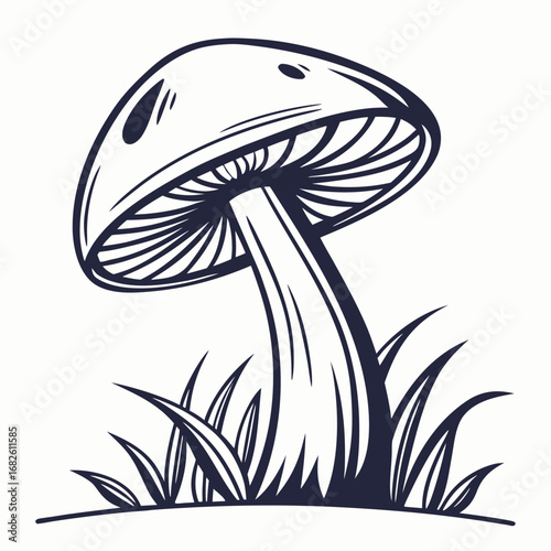 Illustration of Mushroom with Detailed Cap and Stem