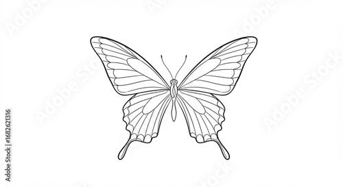 Elegant butterfly illustration ready for coloring book, design project, or artistic creation