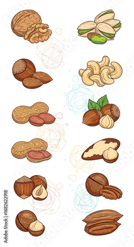 A diverse collection of healthy and nutritious nuts and seeds for a balanced diet