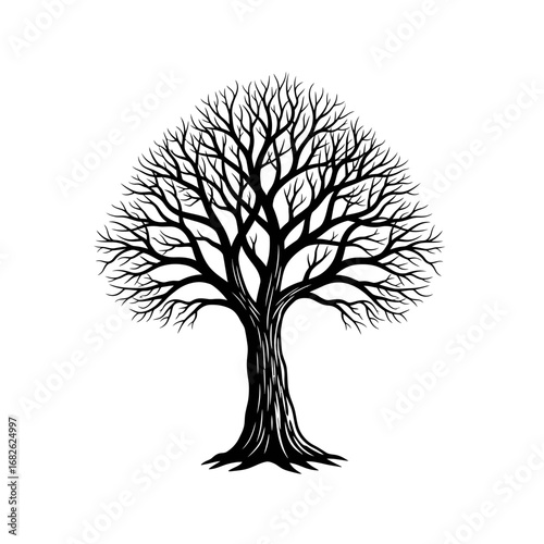 A detailed black and white illustration of a large, bare deciduous tree with intricate branches against a white background.
