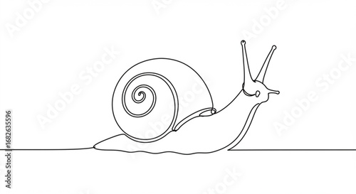 Simple snail line drawing