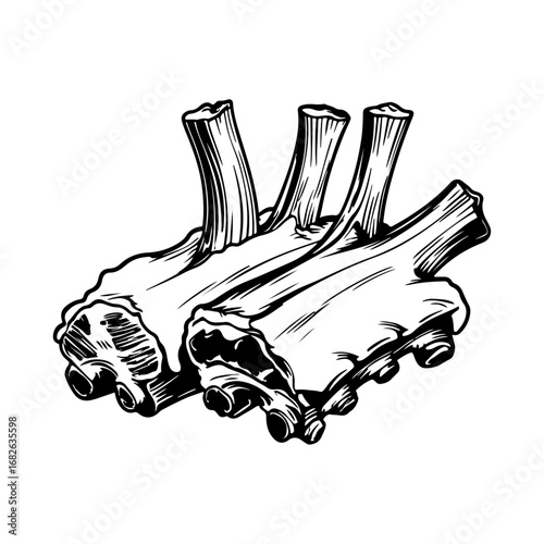 Beef Rib Meat Vector Illustration — Suitable for use in restaurant menu designs, butcher shop branding, food packaging, advertising posters, food blog artwork, and online food delivery content.