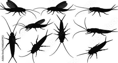 Insect silhouette vector set, bug crawling flying outline, entomology illustration, pest insect clipart, creepy crawlers graphic, black insect shapes collection