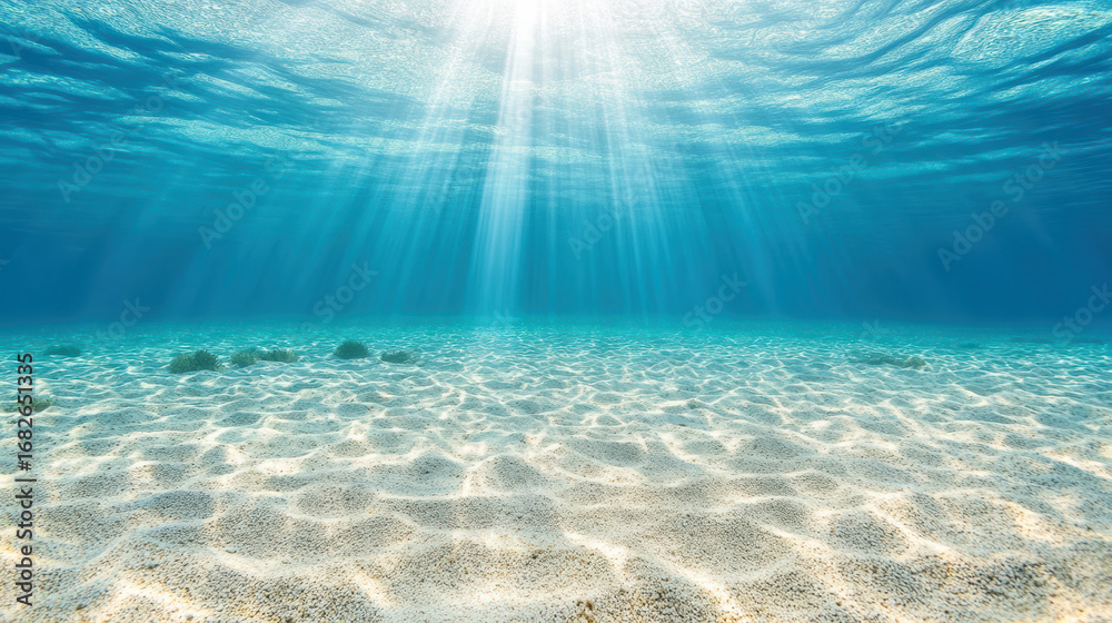 Obraz premium Underwater scene with sunlight piercing through water, illuminating sandy ocean floor